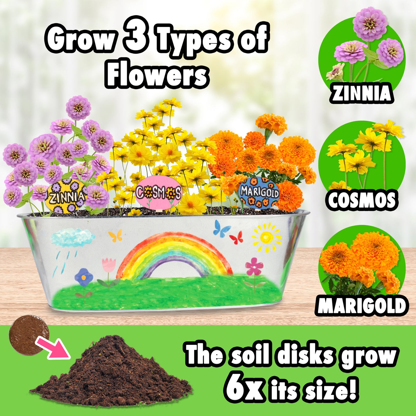 MiracleGro® Paint & Plant My First Flower Growing Kit