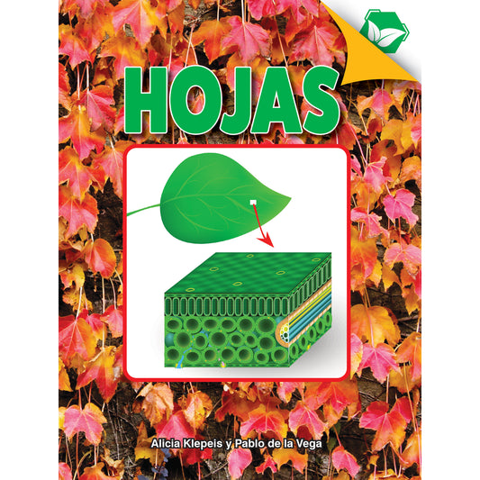 Hojas Book, Hardcover