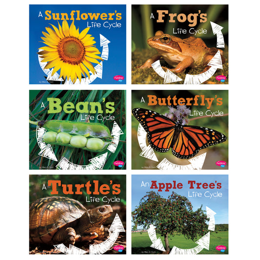 Explore Life Cycles, Set of 6 books