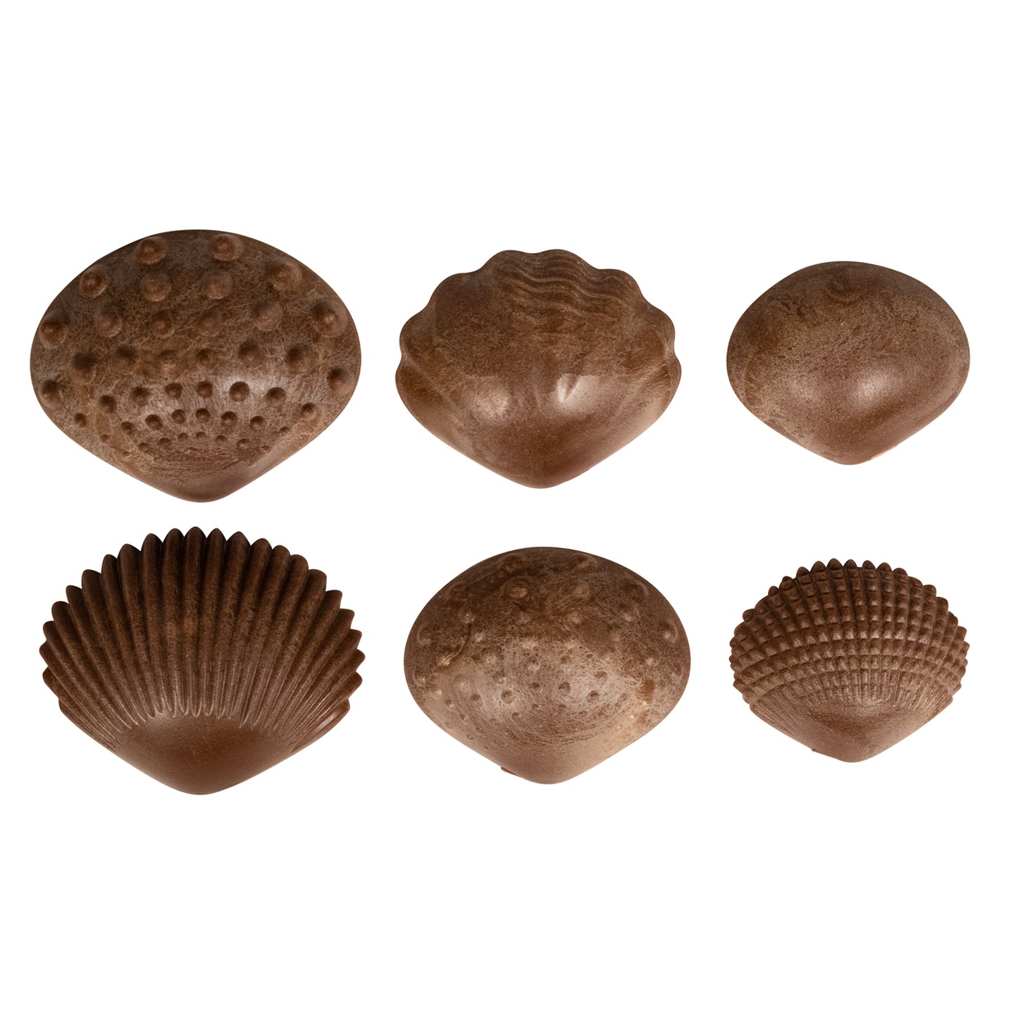 Tactile Shells - Eco-Friendly - 36 Pieces, 6 Textures, 3 Sizes - Ages 18m+