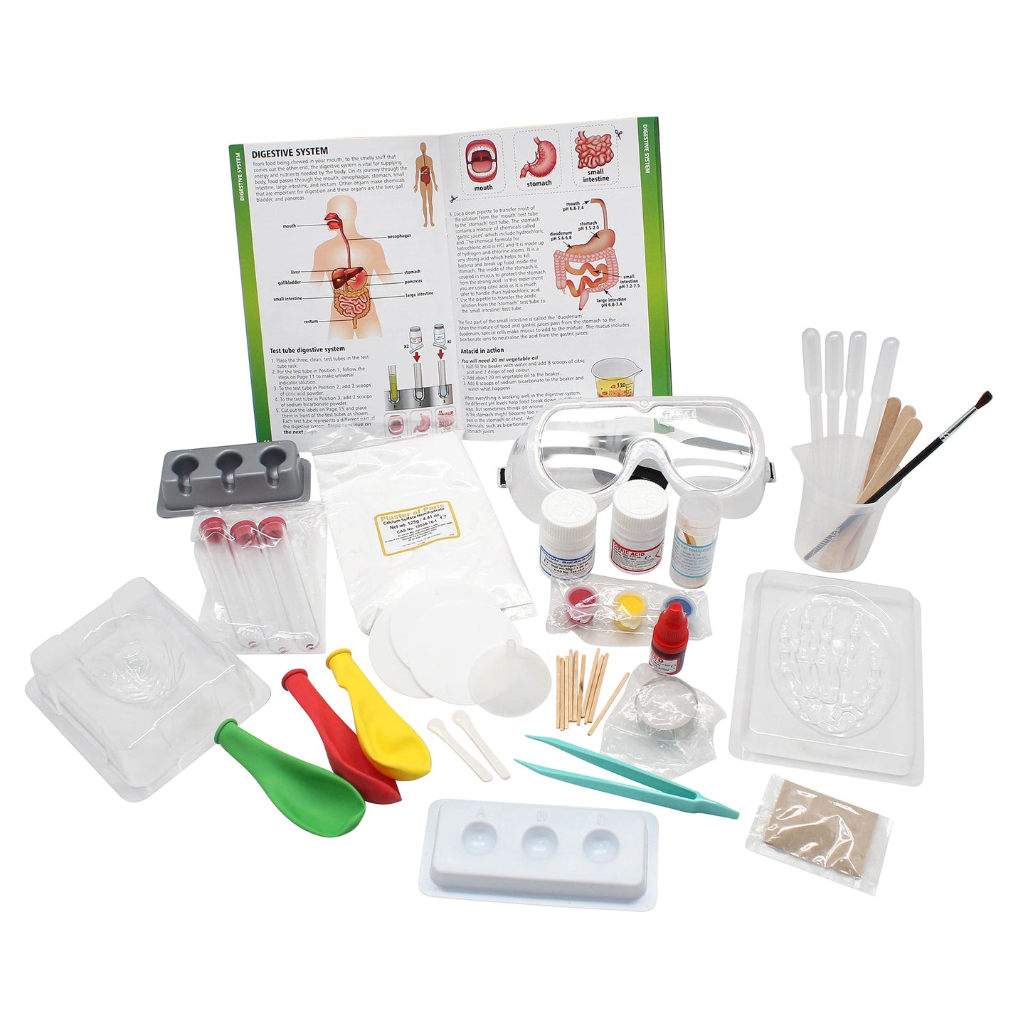 Medical Science - STEM Kit for Ages 8+ - Make a Test-Tube Digestive System, Extract DNA, Create Anatomical Models and More!