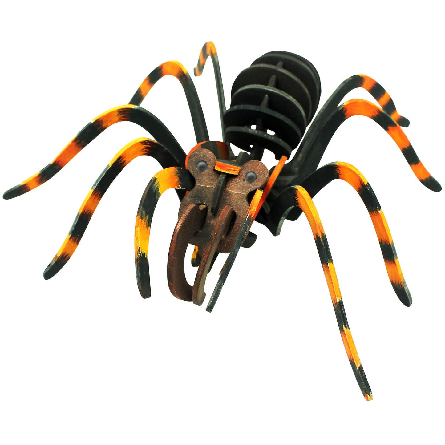 Extreme Spiders of the World - For Ages 6+ - Create and Customize Models and Dioramas - Study the Most Extreme Animals