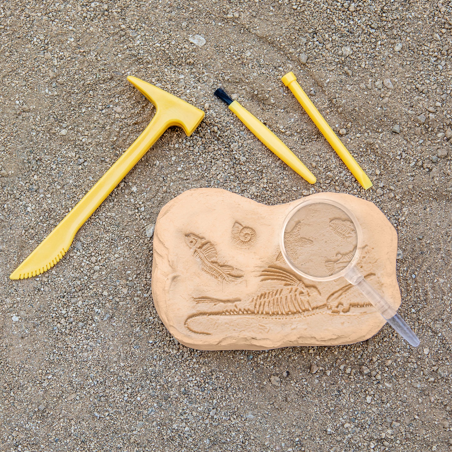 GeoSafari® Jr. Fossil Excavation Kit