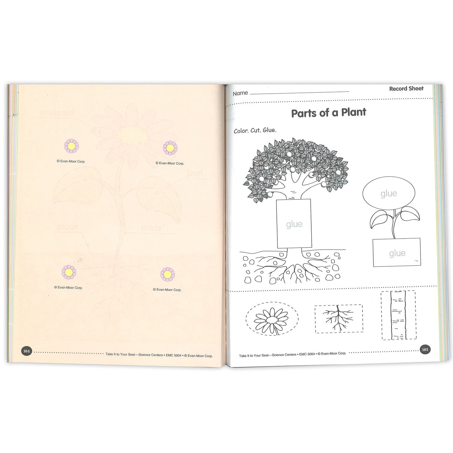 Take It to Your Seat Science Centers Book, Grades PreK-K