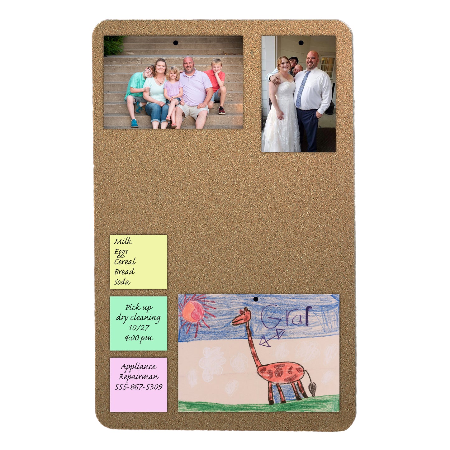 Cork Bulletin Board, 12" x 18", Pack of 6