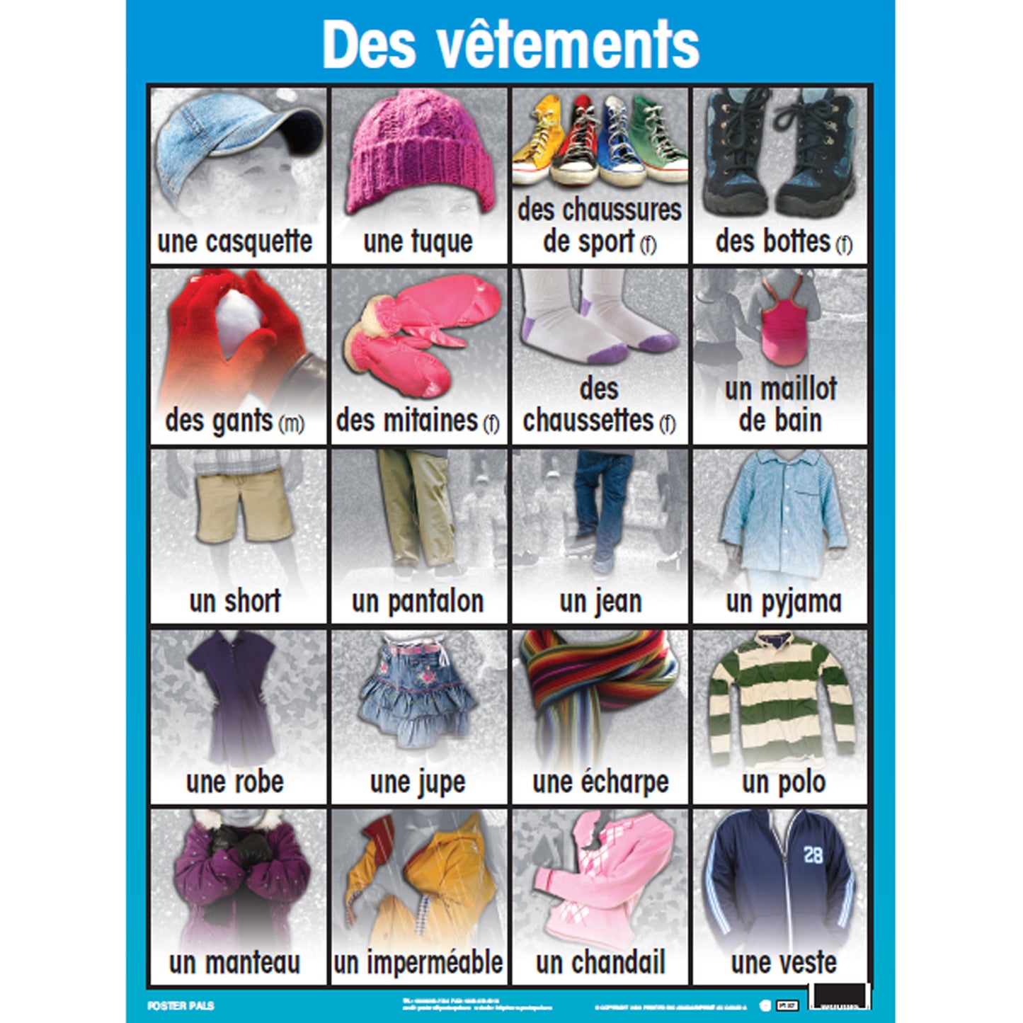 French Essential Classroom Posters Set II