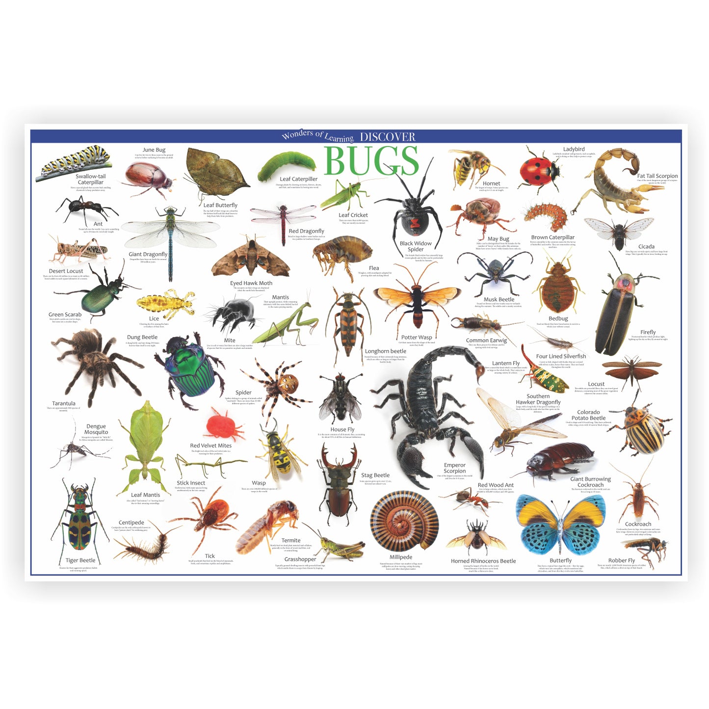 Wonders of Learning Tin Set, Discover Bugs