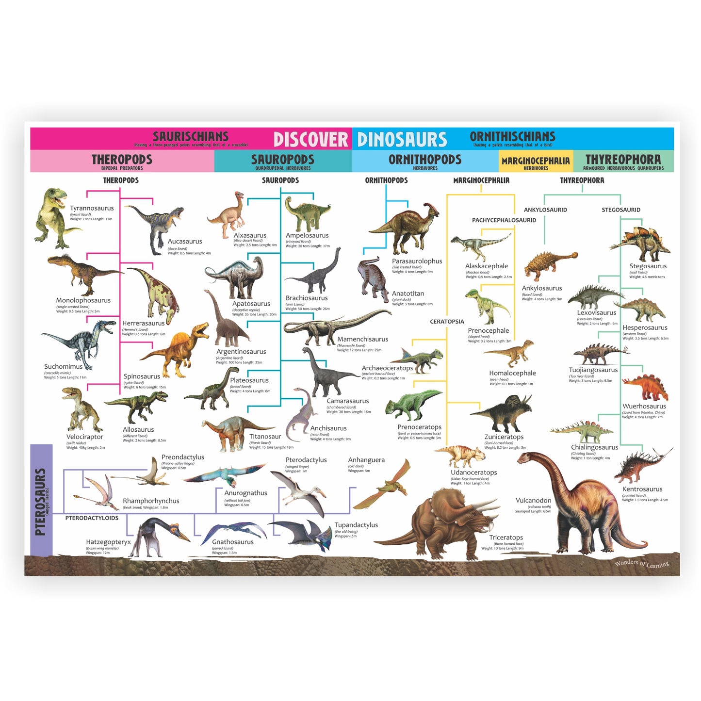 Wonders of Learning Tin Set, Discover Dinosaurs