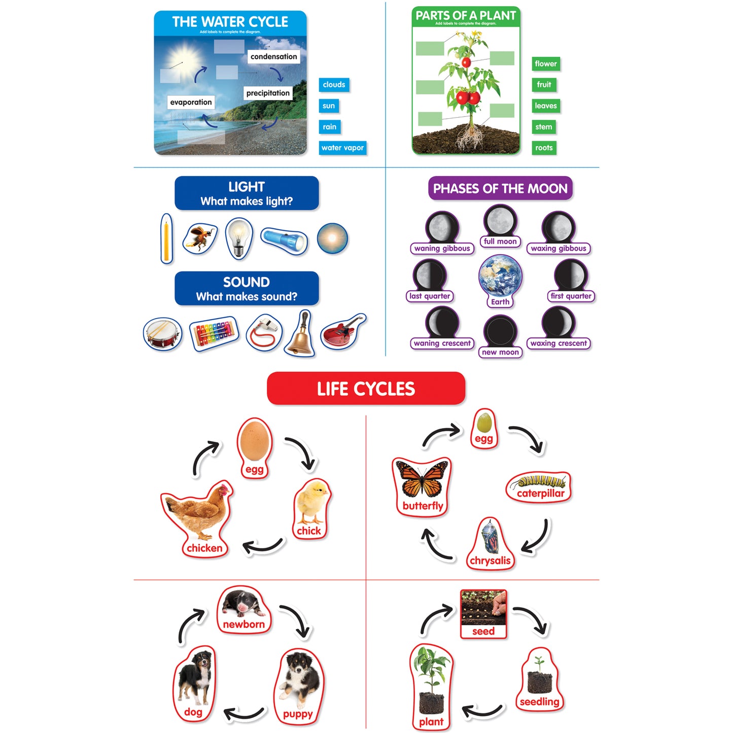 Early Science Concepts Bulletin Board Set