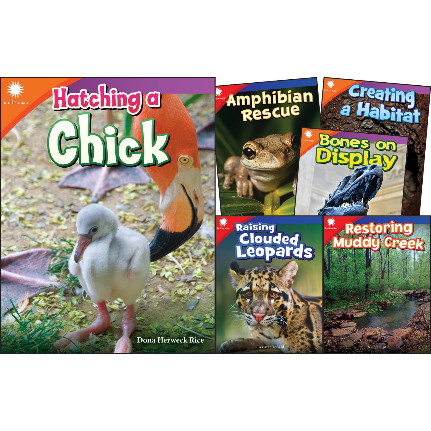 Smithsonian Informational Text: Animals Grades 2-3: 6-Book Set