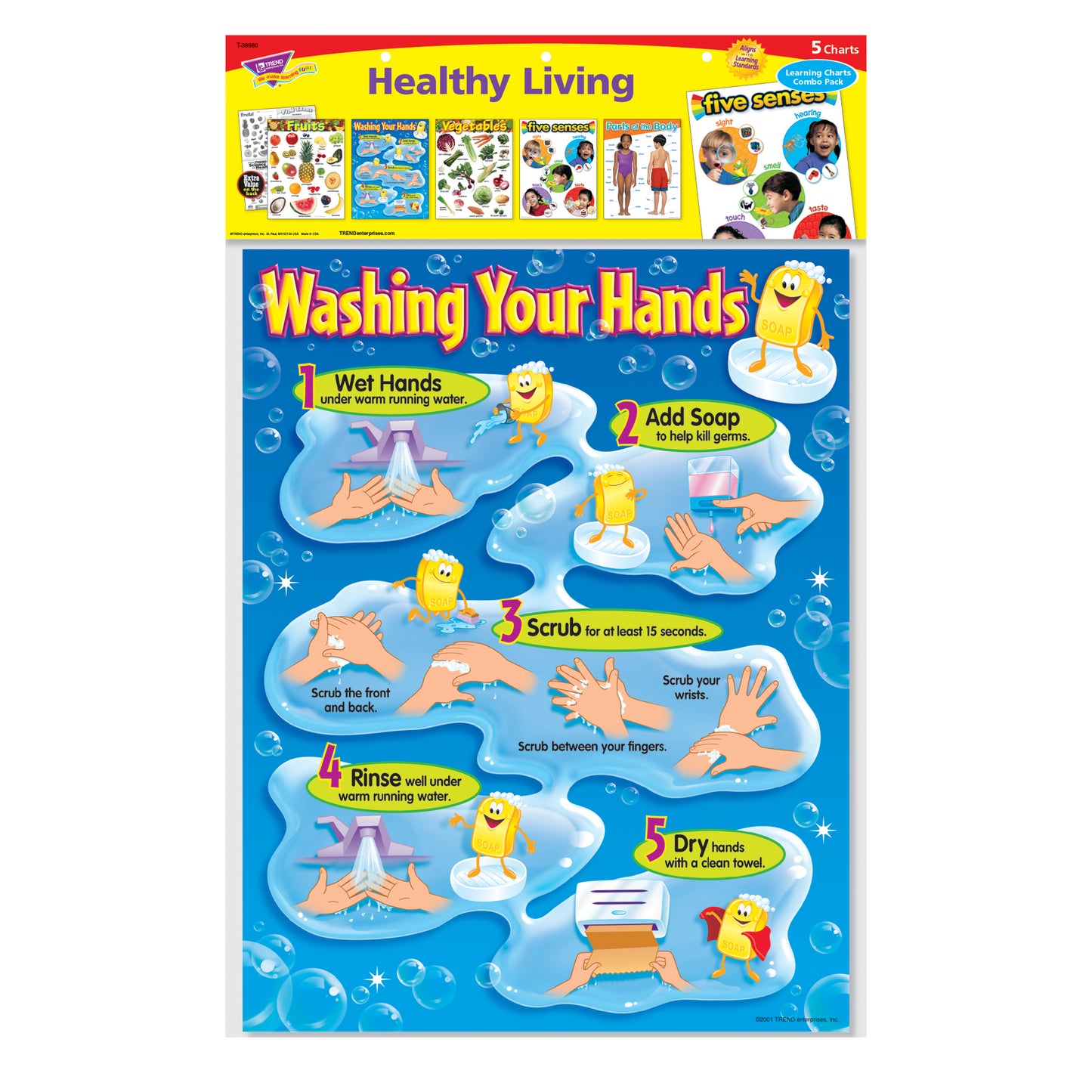 Healthy Living Learning Charts Combo Pack, Set of 5