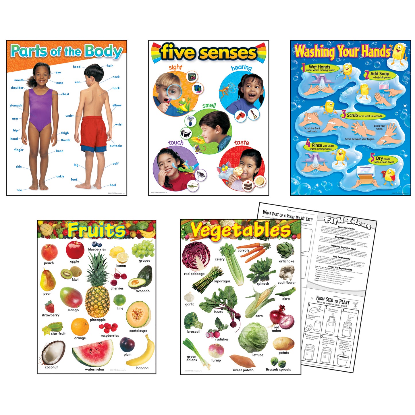 Healthy Living Learning Charts Combo Pack, Set of 5