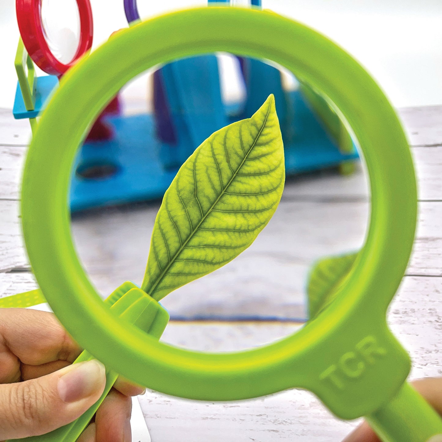 Up-Close Science: Magnifying Glasses & Tweezers Activity Set