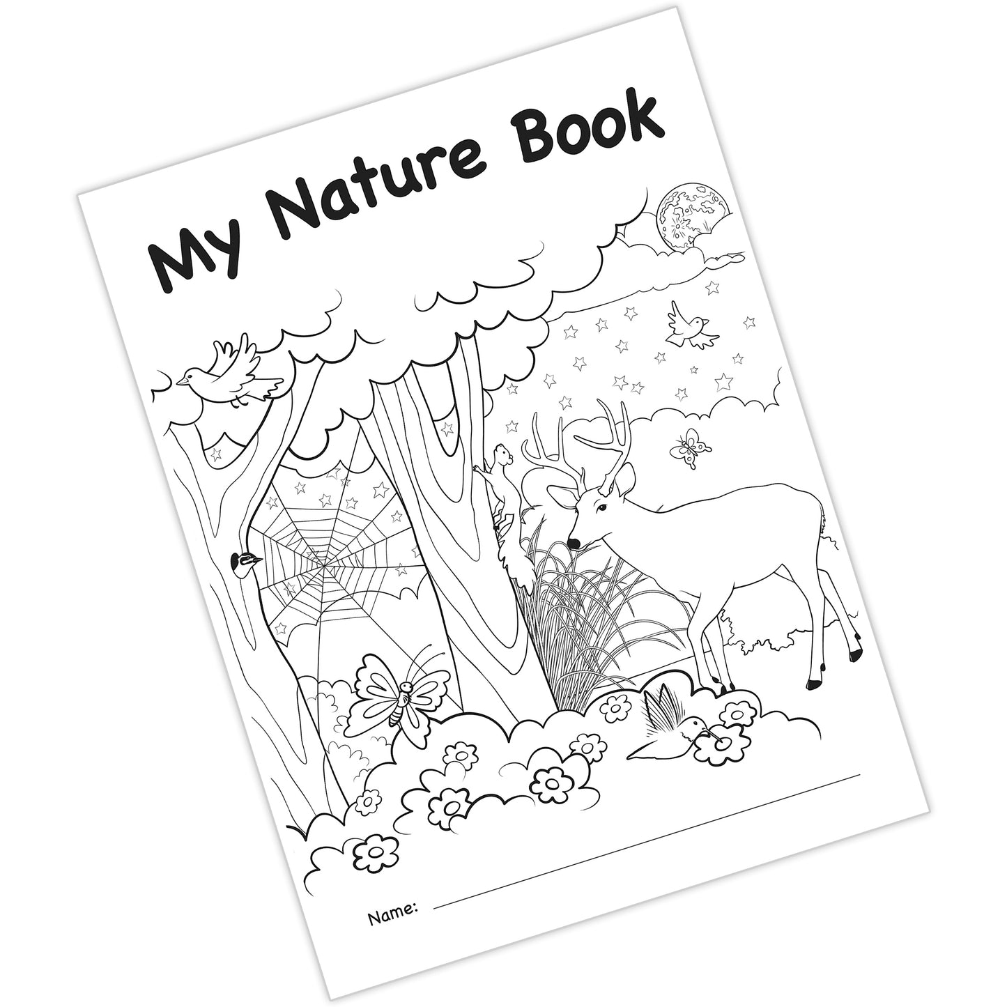 My Own Books: My Own Nature Book, 10 Pack