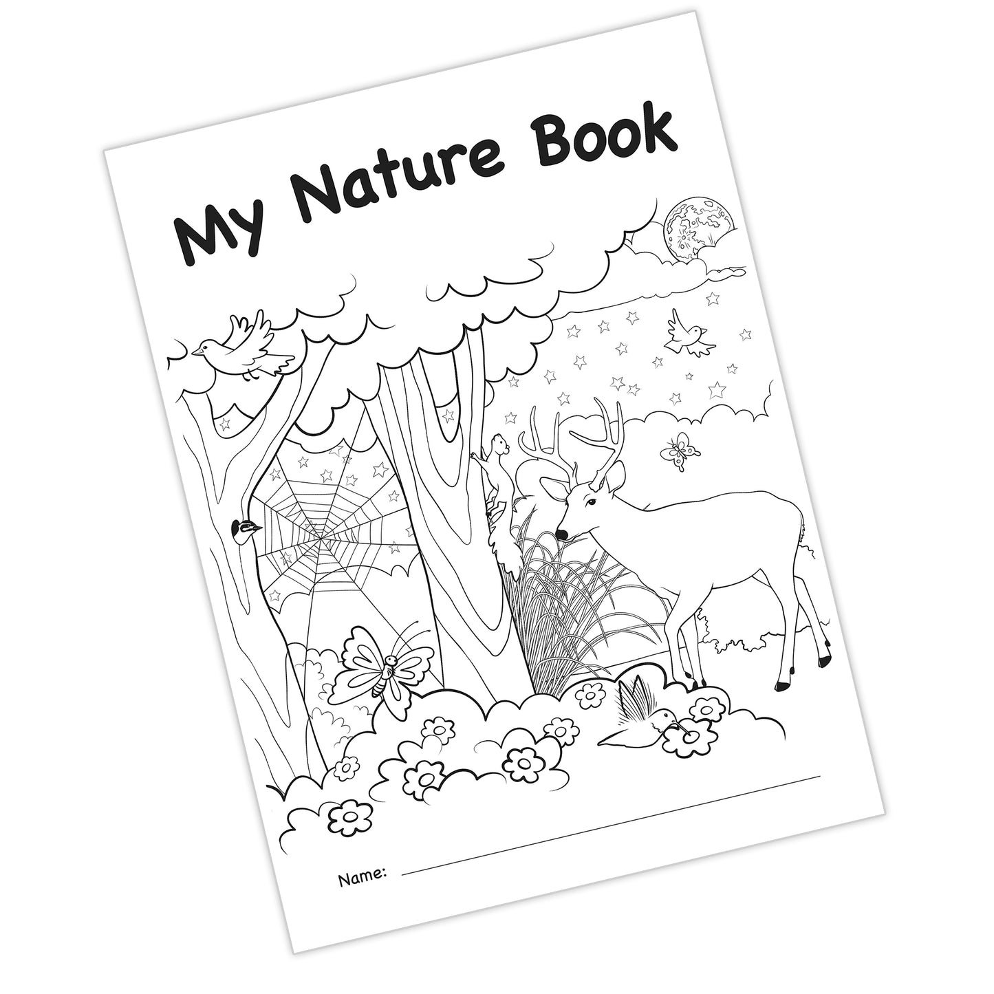 My Own Books: My Own Nature Book, 25 Pack