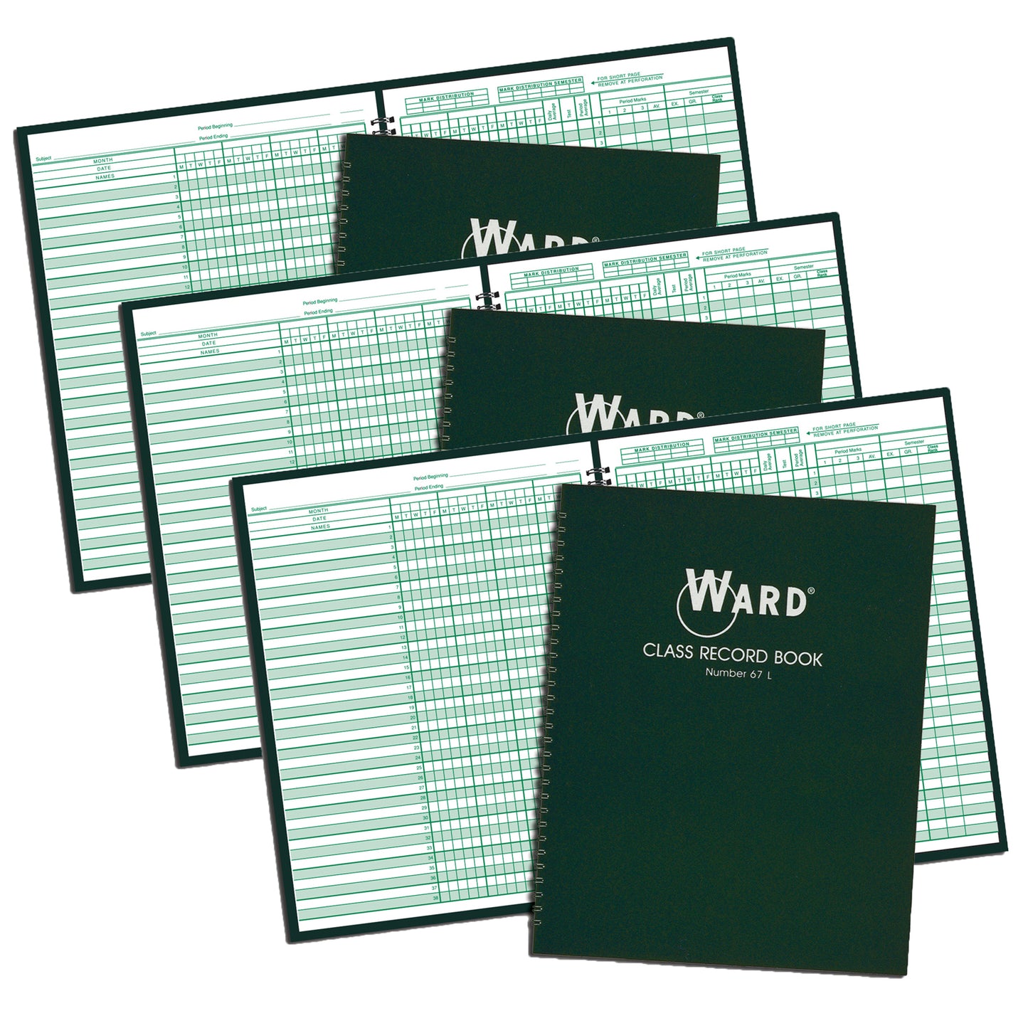 Class Record Book, 38 Name, 6-7 Week Periods, Pack of 3