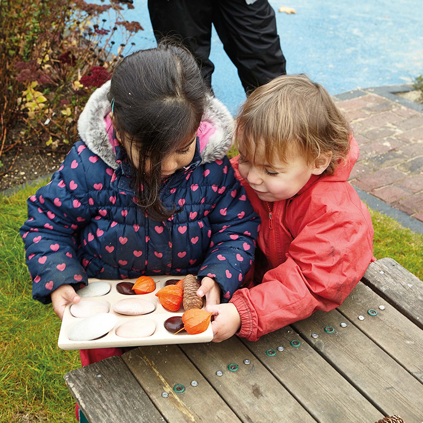 Natural Sorting Tray